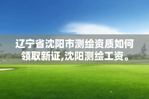 遼寧省沈陽市測繪資質如何領取新證,沈陽測繪工資。