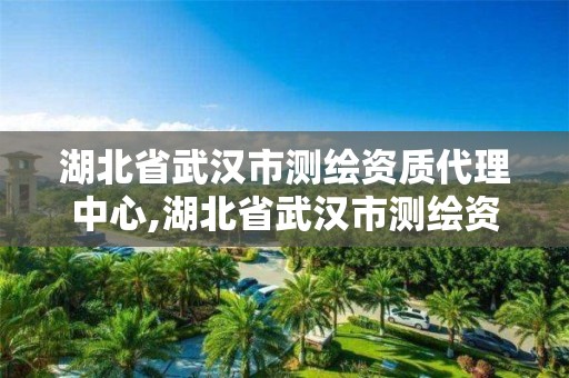 湖北省武漢市測繪資質代理中心,湖北省武漢市測繪資質代理中心有哪些。