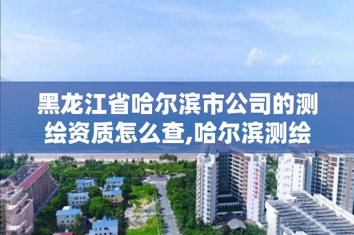 黑龍江省哈爾濱市公司的測繪資質怎么查,哈爾濱測繪公司電話。