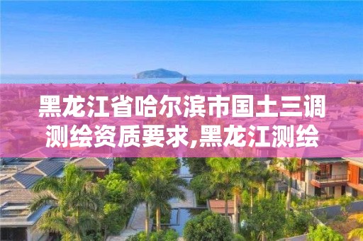 黑龍江省哈爾濱市國(guó)土三調(diào)測(cè)繪資質(zhì)要求,黑龍江測(cè)繪局三院。