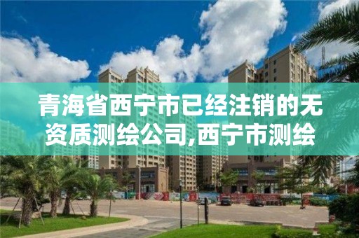 青海省西寧市已經注銷的無資質測繪公司,西寧市測繪院改企業。