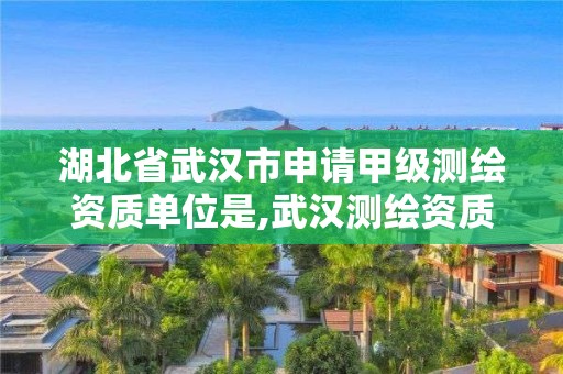 湖北省武漢市申請甲級測繪資質(zhì)單位是,武漢測繪資質(zhì)代辦。