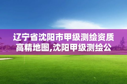 遼寧省沈陽市甲級測繪資質高精地圖,沈陽甲級測繪公司。