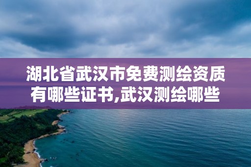 湖北省武漢市免費測繪資質(zhì)有哪些證書,武漢測繪哪些單位比較好。