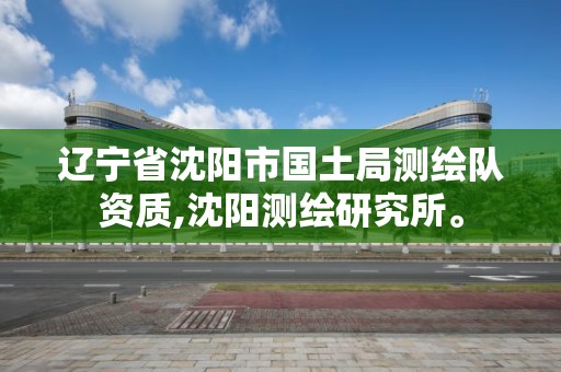 遼寧省沈陽市國土局測繪隊資質,沈陽測繪研究所。