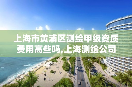 上海市黃浦區測繪甲級資質費用高些嗎,上海測繪公司有哪幾家。