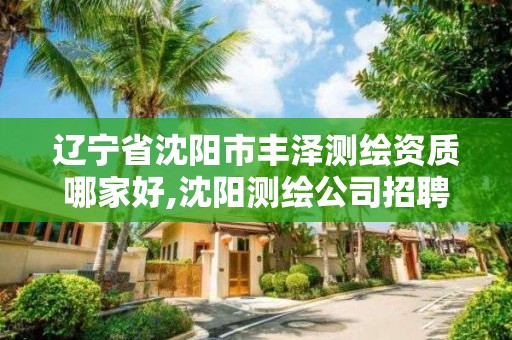 遼寧省沈陽市豐澤測繪資質哪家好,沈陽測繪公司招聘信息最新招聘。