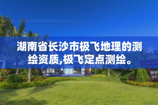 湖南省長沙市極飛地理的測繪資質(zhì),極飛定點測繪。