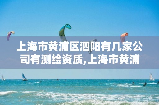 上海市黃浦區泗陽有幾家公司有測繪資質,上海市黃浦區泗陽有幾家公司有測繪資質的公司。