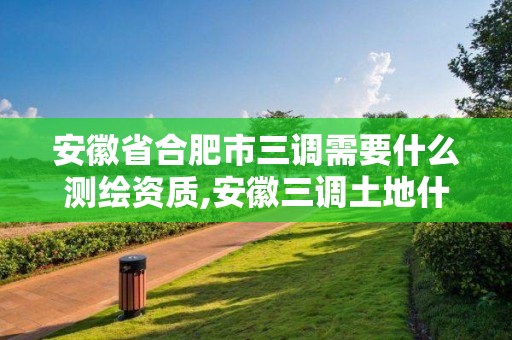 安徽省合肥市三調需要什么測繪資質,安徽三調土地什么時候能批下來。