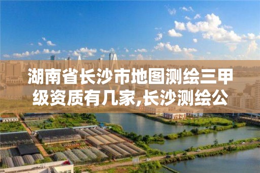 湖南省長沙市地圖測繪三甲級資質有幾家,長沙測繪公司資質有哪家。