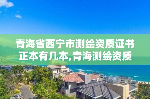 青海省西寧市測繪資質(zhì)證書正本有幾本,青海測繪資質(zhì)辦理。