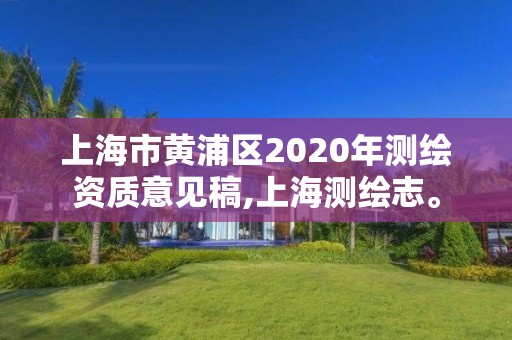 上海市黃浦區2020年測繪資質意見稿,上海測繪志。