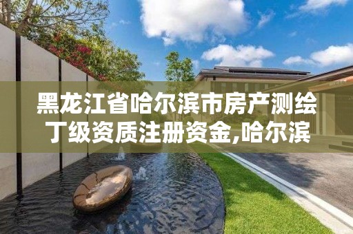 黑龍江省哈爾濱市房產測繪丁級資質注冊資金,哈爾濱市測繪局家屬樓。