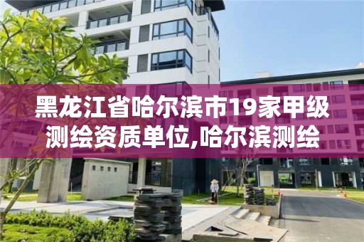 黑龍江省哈爾濱市19家甲級測繪資質單位,哈爾濱測繪公司哪家好。