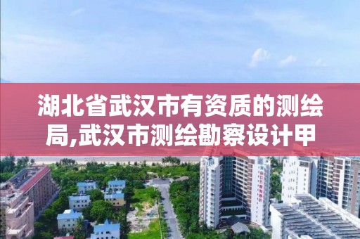 湖北省武漢市有資質的測繪局,武漢市測繪勘察設計甲級資質公司。