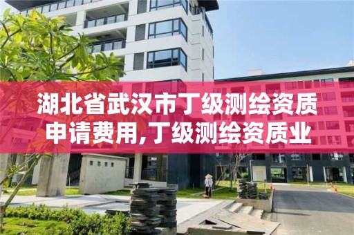 湖北省武漢市丁級測繪資質申請費用,丁級測繪資質業務范圍有哪些。