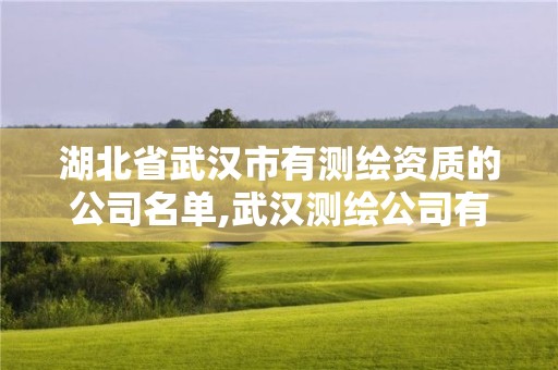 湖北省武漢市有測繪資質的公司名單,武漢測繪公司有哪些。