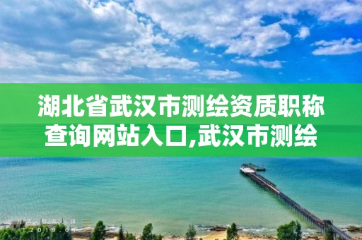 湖北省武漢市測繪資質職稱查詢網站入口,武漢市測繪研究院官網。