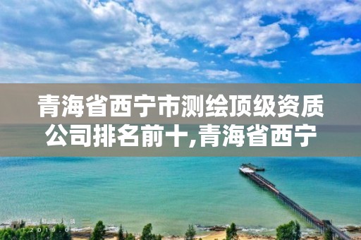 青海省西寧市測繪頂級資質公司排名前十,青海省西寧市測繪頂級資質公司排名前十有哪些。