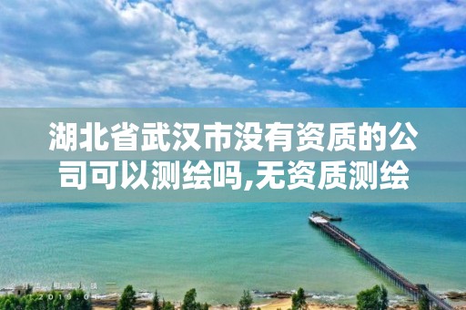 湖北省武漢市沒有資質的公司可以測繪嗎,無資質測繪。