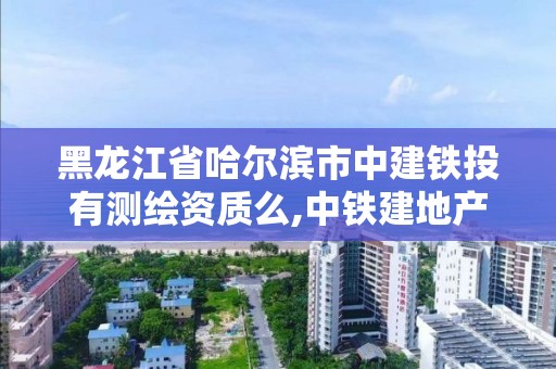 黑龍江省哈爾濱市中建鐵投有測(cè)繪資質(zhì)么,中鐵建地產(chǎn)哈爾濱。