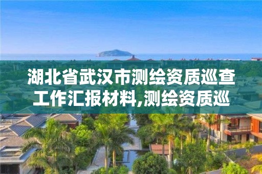 湖北省武漢市測繪資質巡查工作匯報材料,測繪資質巡查整改報告。