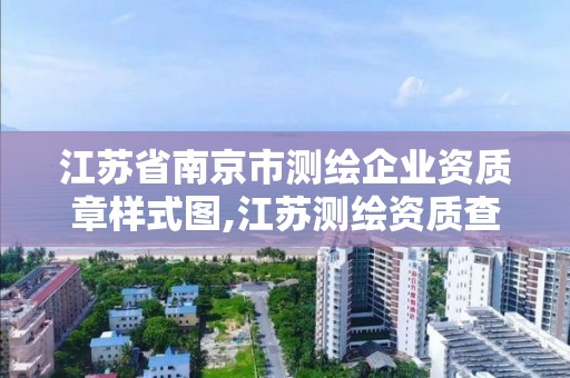 江蘇省南京市測繪企業資質章樣式圖,江蘇測繪資質查詢。