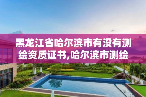 黑龍江省哈爾濱市有沒有測繪資質證書,哈爾濱市測繪公司。