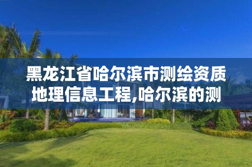 黑龍江省哈爾濱市測繪資質地理信息工程,哈爾濱的測繪公司有哪些。