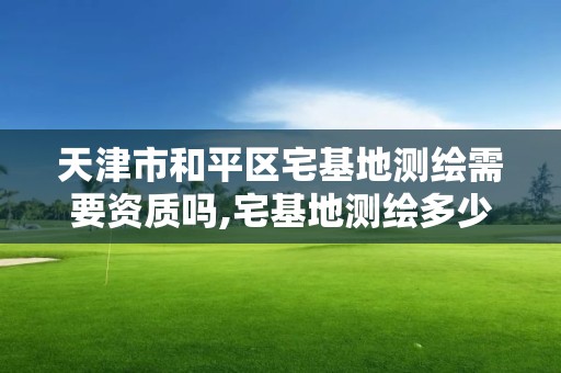 天津市和平區宅基地測繪需要資質嗎,宅基地測繪多少錢一戶。