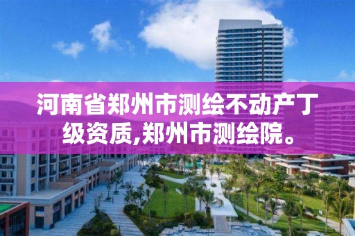 河南省鄭州市測繪不動產(chǎn)丁級資質(zhì),鄭州市測繪院。