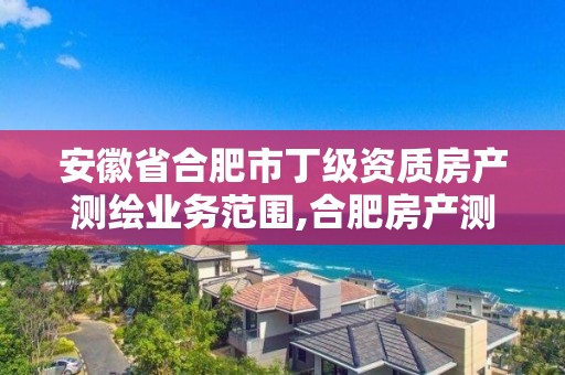 安徽省合肥市丁級資質房產測繪業務范圍,合肥房產測繪公司排名。