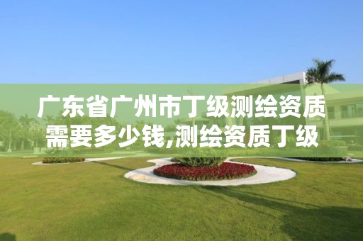 廣東省廣州市丁級測繪資質需要多少錢,測繪資質丁級是什么意思。