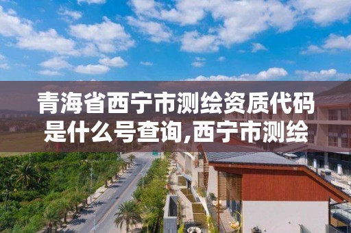 青海省西寧市測繪資質代碼是什么號查詢,西寧市測繪院招聘公示。