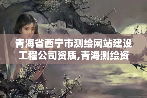 青海省西寧市測繪網(wǎng)站建設(shè)工程公司資質(zhì),青海測繪資質(zhì)辦理。