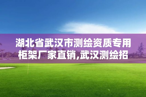 湖北省武漢市測繪資質專用柜架廠家直銷,武漢測繪招聘信息。