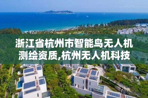 浙江省杭州市智能鳥無人機測繪資質,杭州無人機科技有限公司。