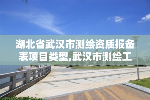 湖北省武漢市測繪資質報備表項目類型,武漢市測繪工程技術規定。