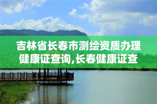 吉林省長春市測繪資質辦理健康證查詢,長春健康證查詢系統官網。