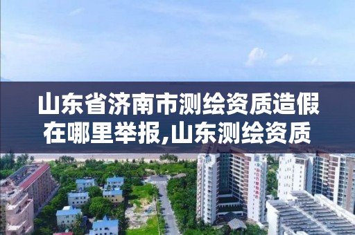 山東省濟南市測繪資質造假在哪里舉報,山東測繪資質查詢。