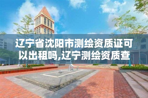 遼寧省沈陽市測繪資質證可以出租嗎,遼寧測繪資質查詢。