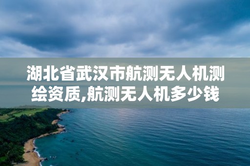 湖北省武漢市航測無人機測繪資質,航測無人機多少錢一臺。