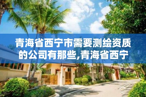 青海省西寧市需要測繪資質的公司有那些,青海省西寧市測繪院。