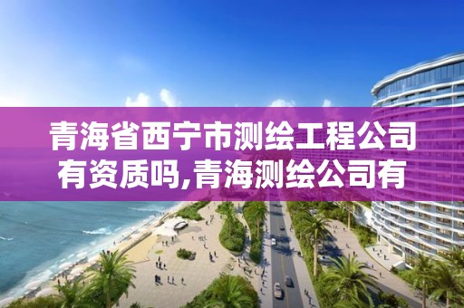 青海省西寧市測繪工程公司有資質嗎,青海測繪公司有哪些。