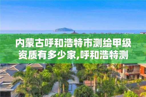 內蒙古呼和浩特市測繪甲級資質有多少家,呼和浩特測繪公司排名。