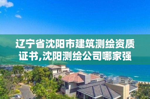 遼寧省沈陽市建筑測繪資質證書,沈陽測繪公司哪家強哪家好。