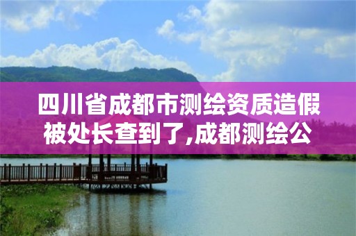 四川省成都市測繪資質造假被處長查到了,成都測繪公司聯系方式。