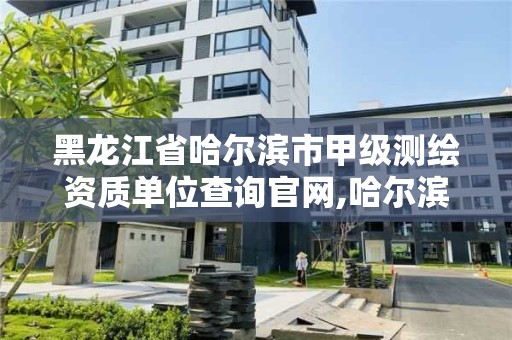 黑龍江省哈爾濱市甲級測繪資質單位查詢官網,哈爾濱甲級測繪公司。