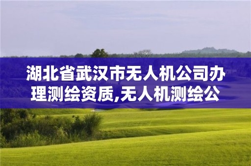 湖北省武漢市無人機公司辦理測繪資質(zhì),無人機測繪公司注冊條件。